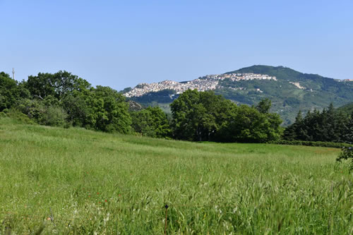 Il territorio di Stigliano - Salumi tipici Lucani